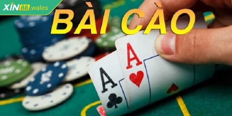 Bài Cào Xin88 Là Gì? Hướng Dẫn Toàn Diện Cách Chơi Bài Hiệu Quả 1 Bài cào Xin88 là gì?