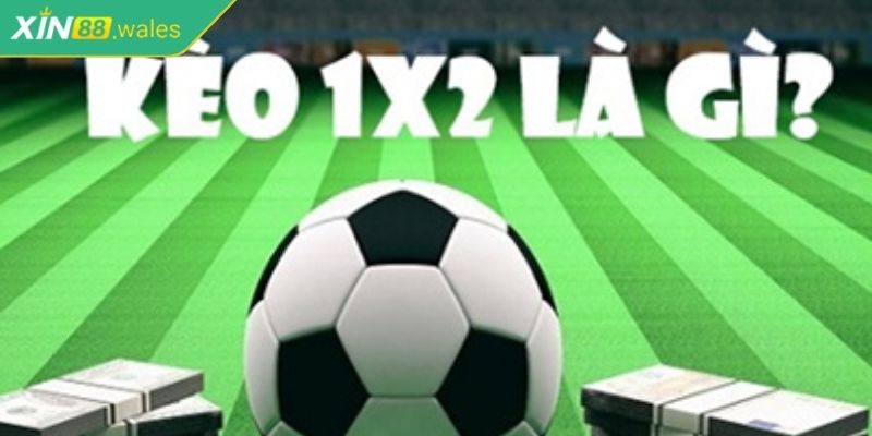 Cách nâng cao kỹ năng soi kèo 1x2