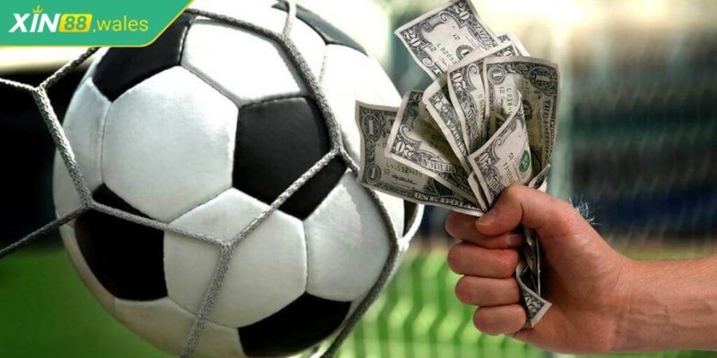 Kèo Gốc Xin88 – Khám Phá Loại Kèo Đặc Biệt Dễ Kiếm Lợi Nhuận 3 Kinh nghiệm soi kèo gốc