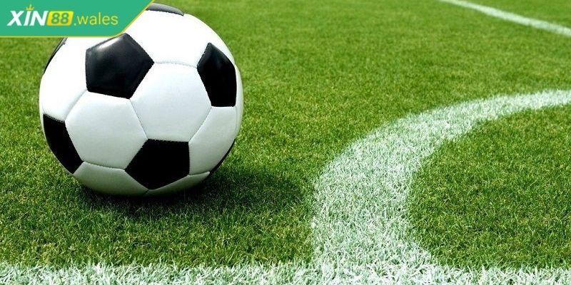 Kèo Gốc Xin88 – Khám Phá Loại Kèo Đặc Biệt Dễ Kiếm Lợi Nhuận 1 Kèo gốc Xin88 là gì?