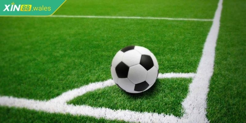 Kèo Nhà Cái Xin88 - Các Loại Kèo Phổ Biến Và Hấp Dẫn 2 Tham gia kèo phạt góc