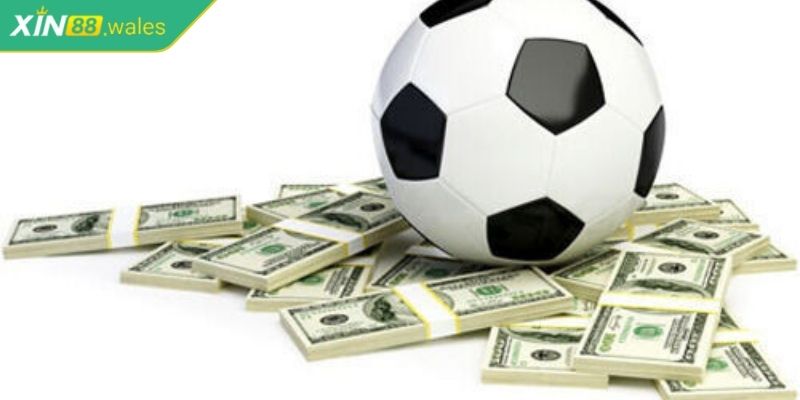 Kèo Nhà Cái Xin88 - Các Loại Kèo Phổ Biến Và Hấp Dẫn 3 Theo dõi kinh nghiệm chuyên gia