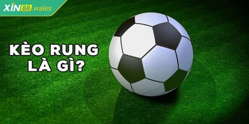 Kèo Rung Xin88 - Bí Quyết Cược Thông Minh Từ Chuyên Gia 1 Khám phá kèo rung Xin88